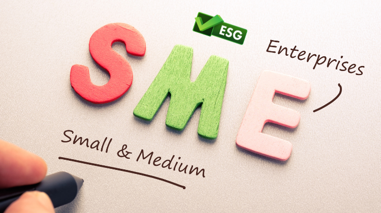 MAXIMISE YOUR BUSINESS POTENTIAL THROUGH ESG: A GUIDE FOR SME