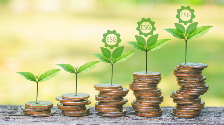 The importance of ESG for SMEs
