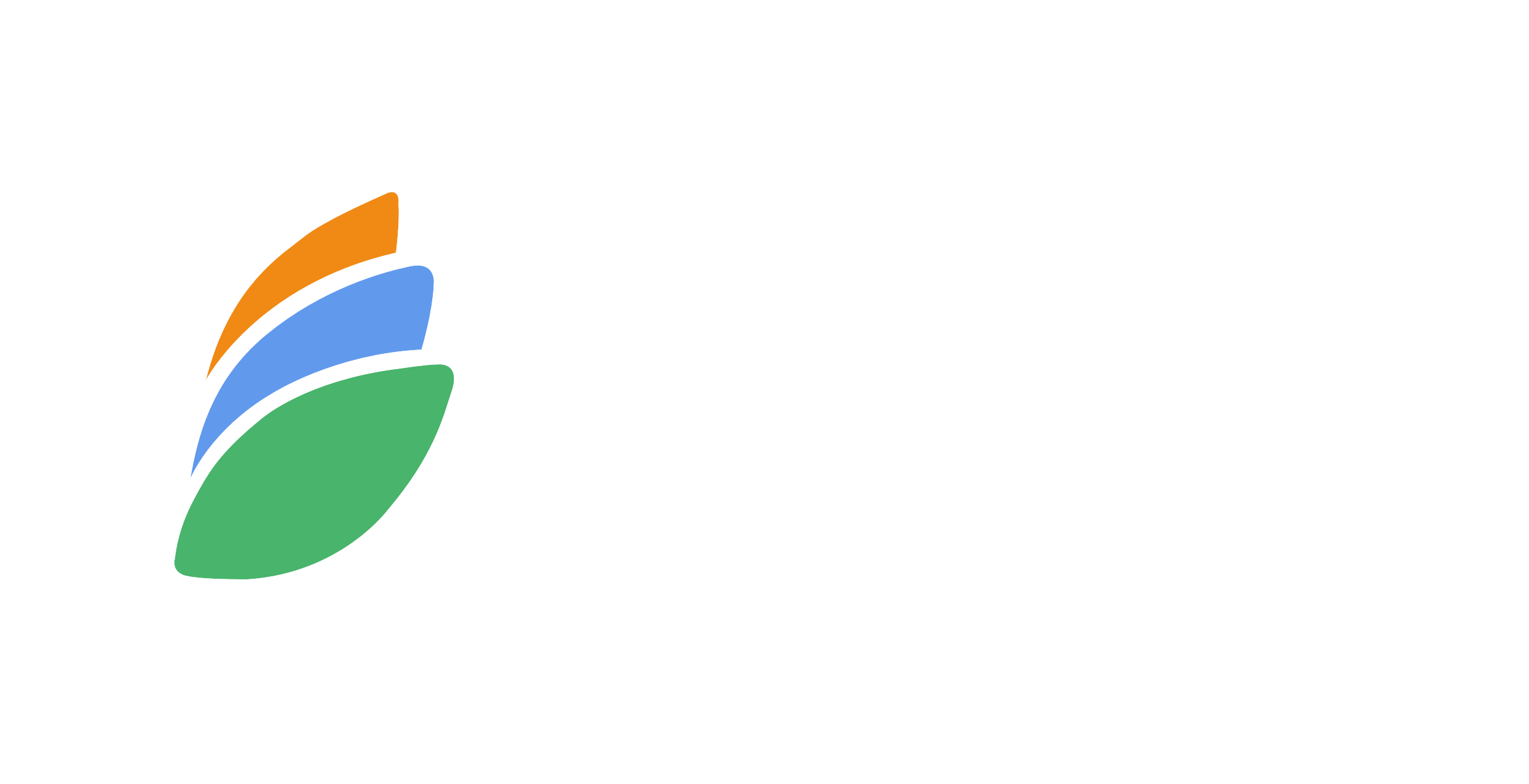 GSI logo white